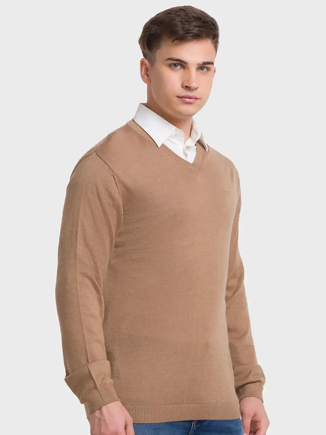 Men Brown Tailored Fit Solid Merino Wool Acrylic Blend Full Sleeve V Neck Collar Sweaters