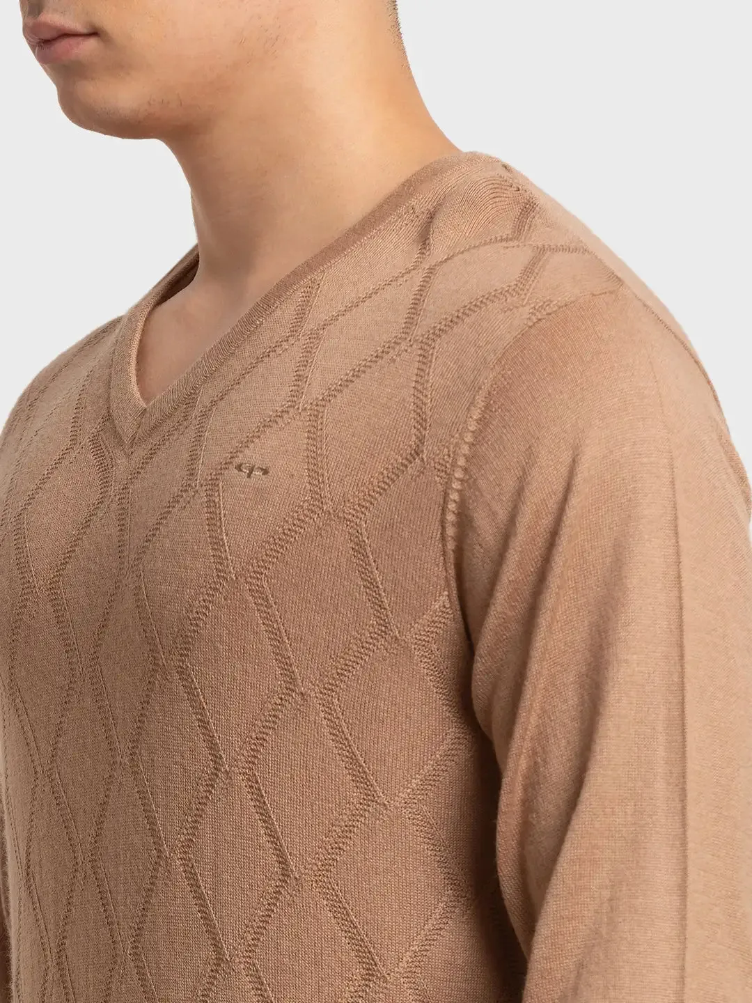 Men Brown Tailored Fit Structure Acrylic Merino Blend Full Sleeve V Neck Collar Sweaters