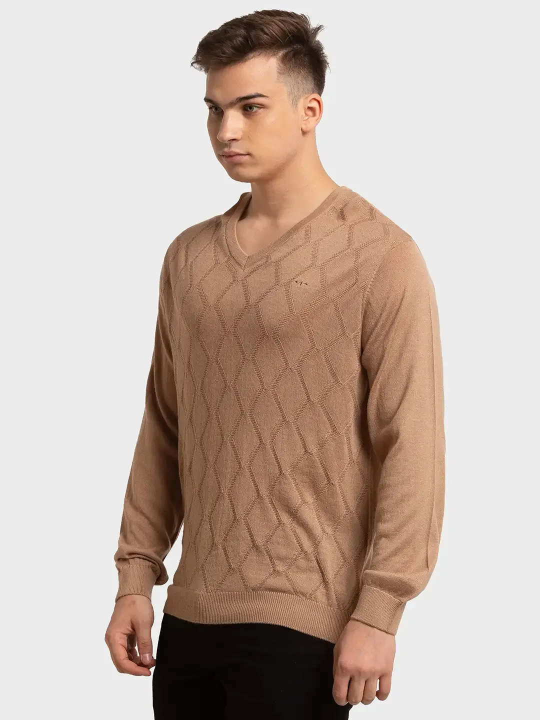 Men Brown Tailored Fit Structure Acrylic Merino Blend Full Sleeve V Neck Collar Sweaters