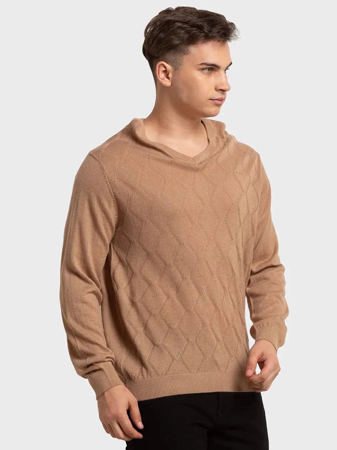 Men Brown Tailored Fit Structure Acrylic Merino Blend Full Sleeve V Neck Collar Sweaters